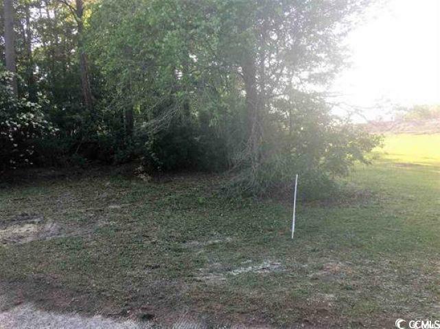 Property Photo:  Lot 10 Golf Ave.  SC 29566 