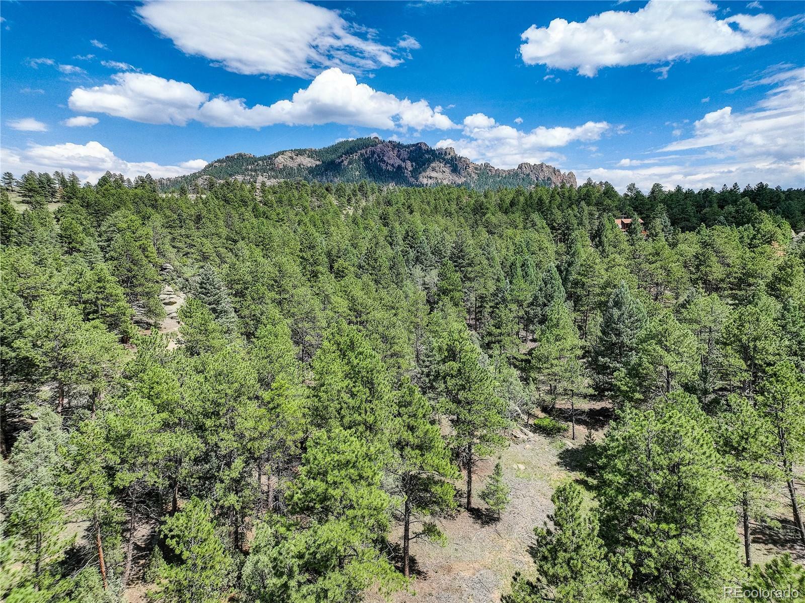 Property Photo:  20006 Spring Creek Road  CO 80470 