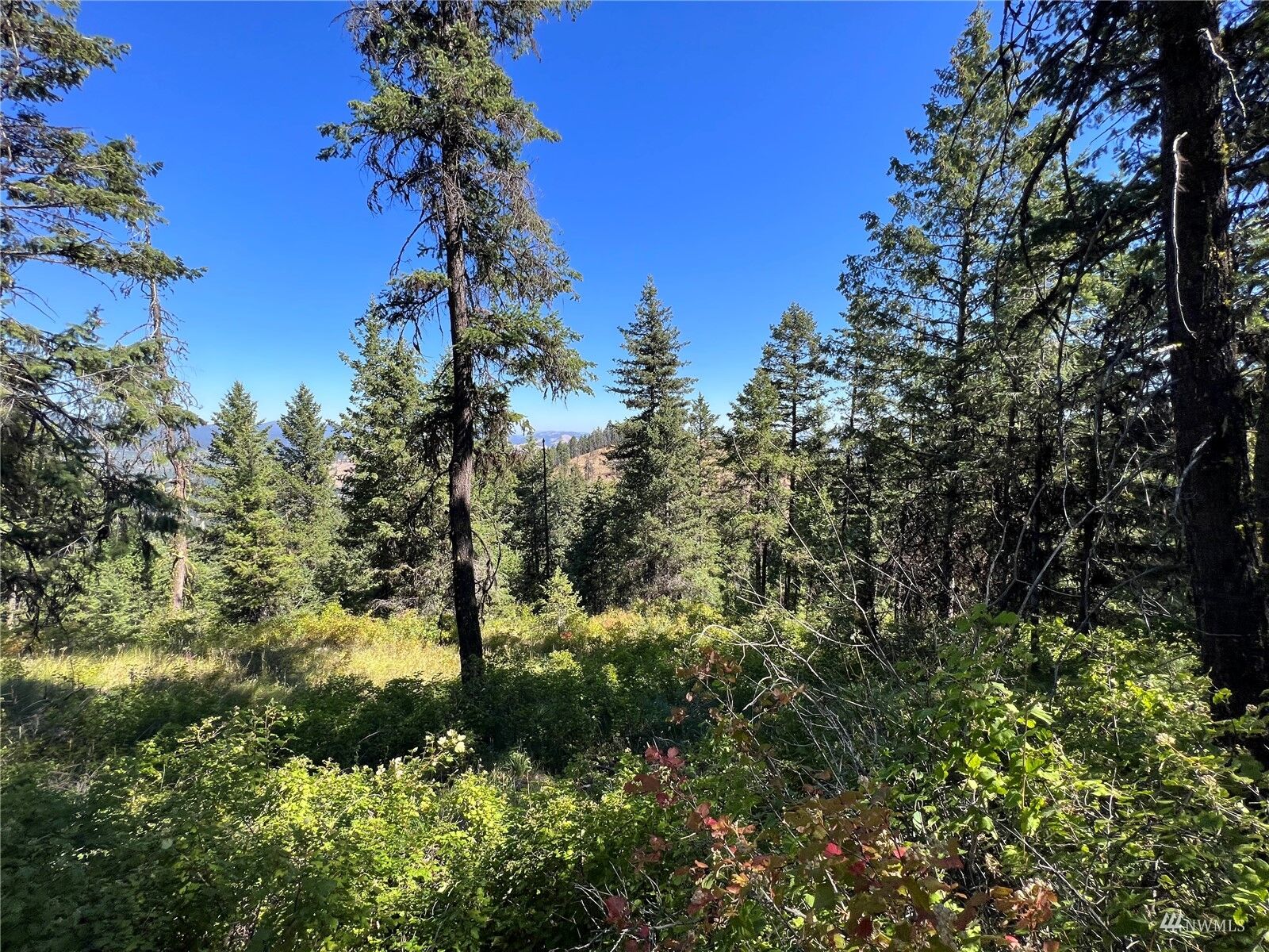 Property Photo:  0 Lot 147 Union Ridge Road  WA 99166 