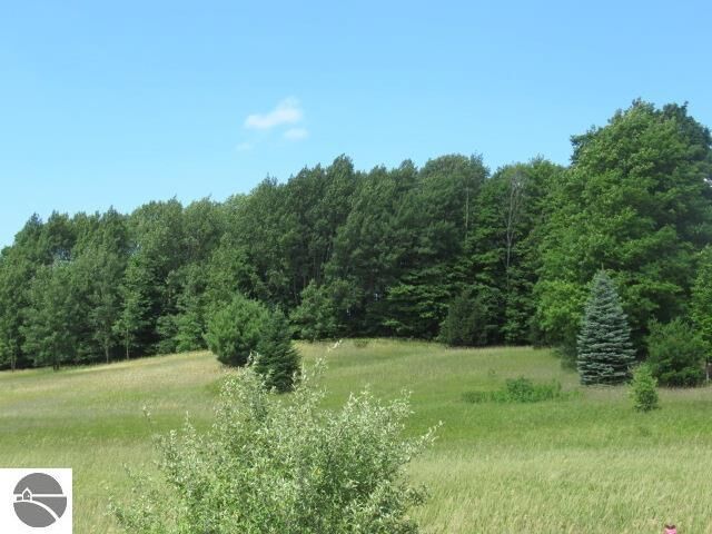 Property Photo:  Lot #2 2.03 A E Lincoln Road Use 7651 E Lincoln Rd For Gps  MI 49621 