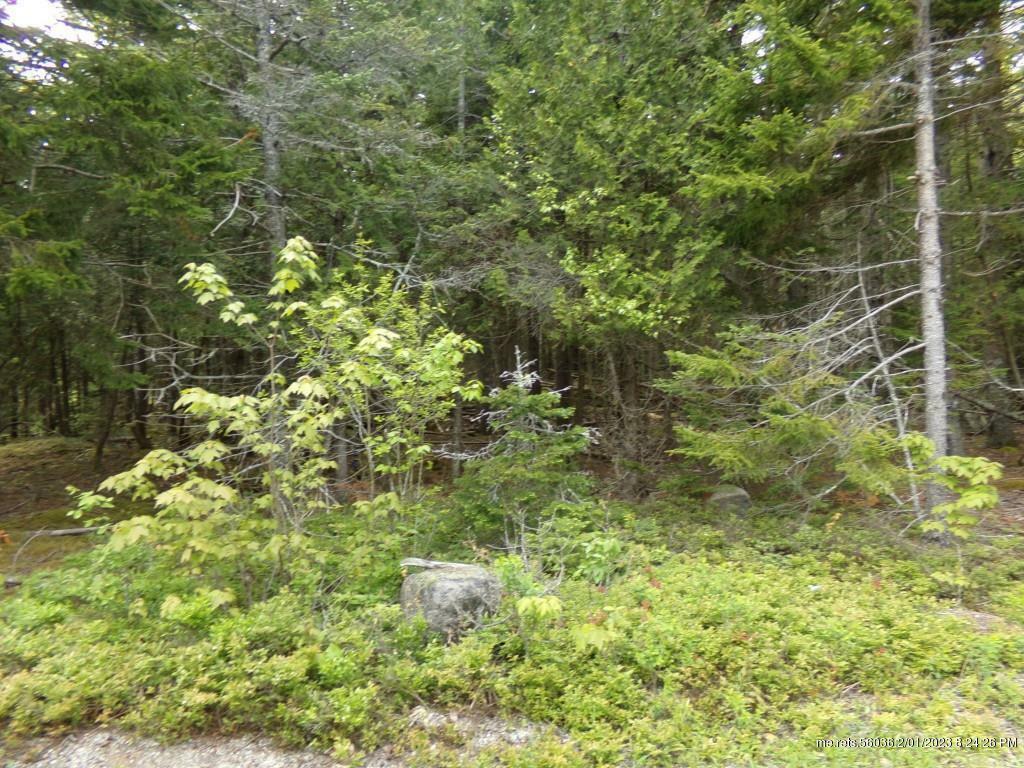 Property Photo:  0 Dow Point Road  ME 04674 