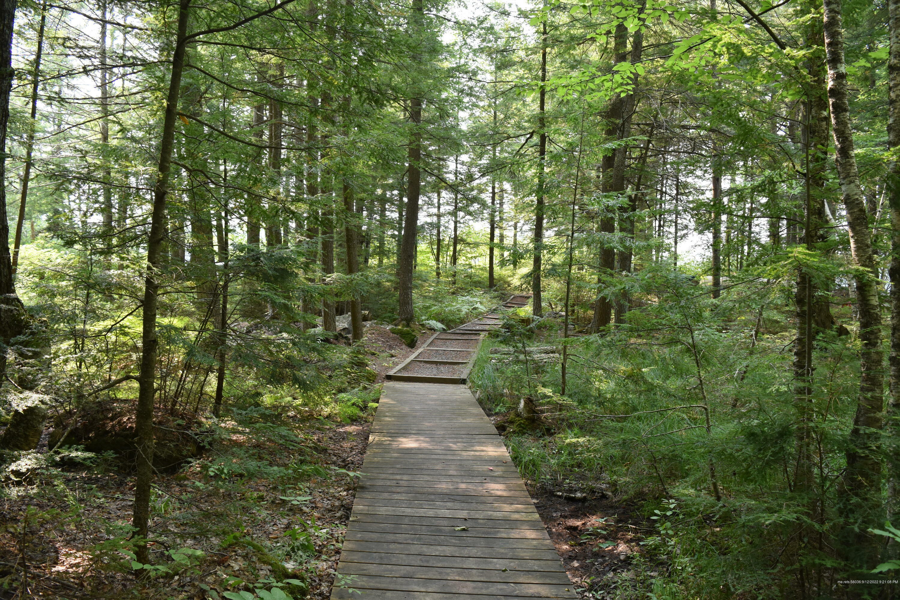 Property Photo:  Lot 58 Shore Rd  ME 04349 