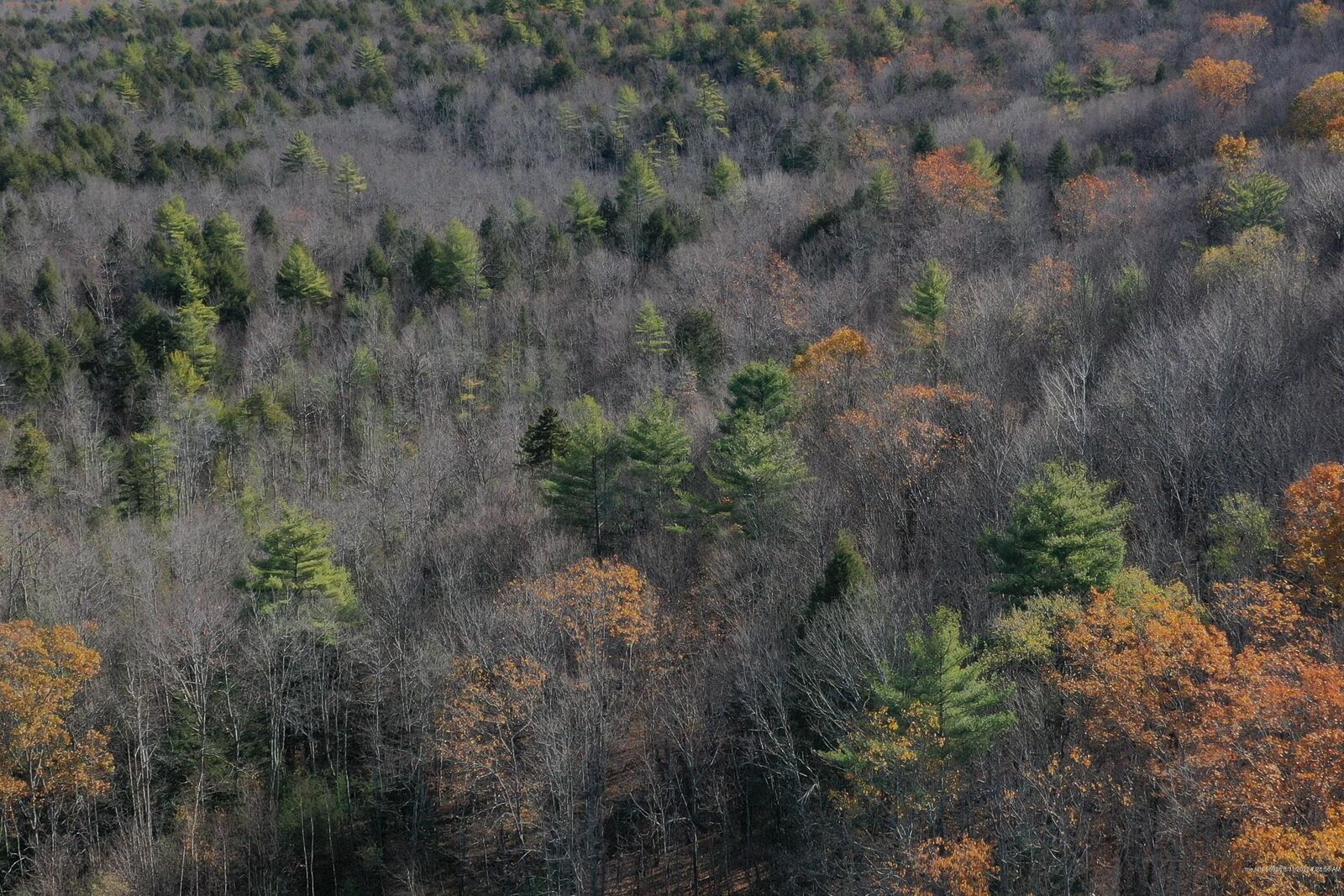 Property Photo:  00 Deering Ridge Road Lot 2  ME 04076 