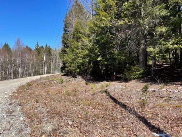 Property Photo:  00 Two Lakes Drive 31  ME 04654 