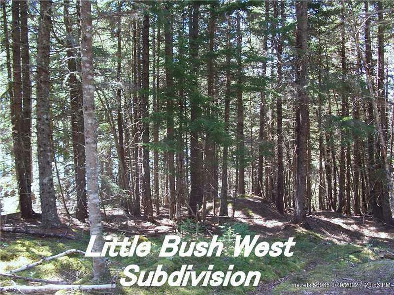 Property Photo:  8 Lot # 8 - US Route 191 N  ME 04630 