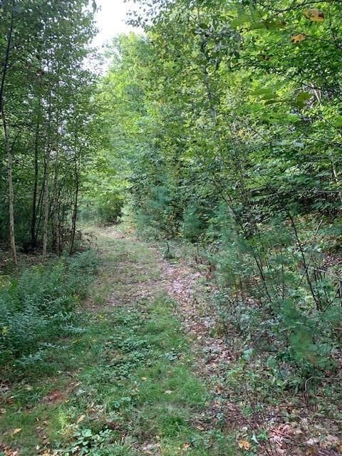 Property Photo:  00 Randall Lake Road  ME 04047 