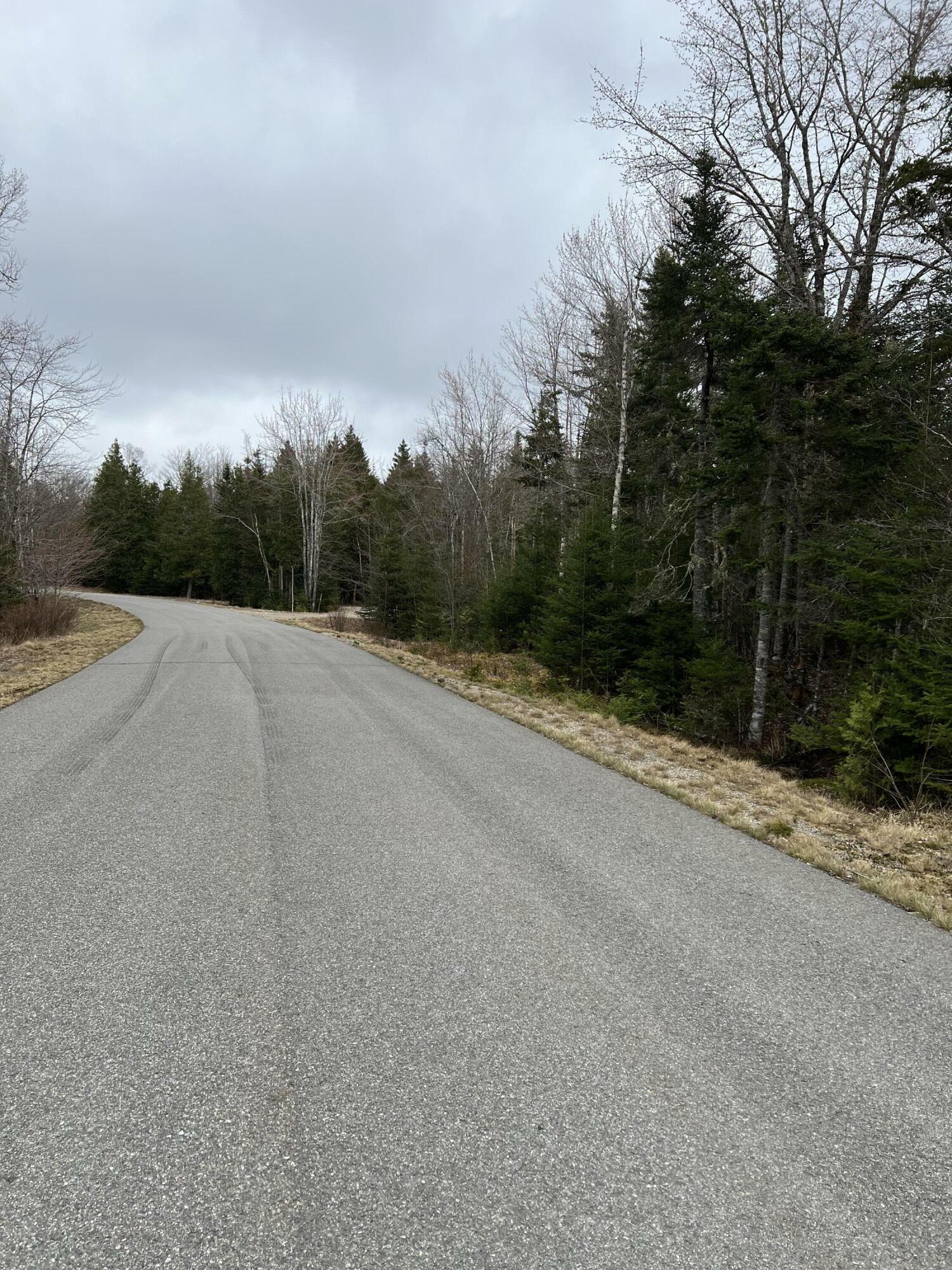 Property Photo:  0 Merganser Drive Lot 12  ME 04607 