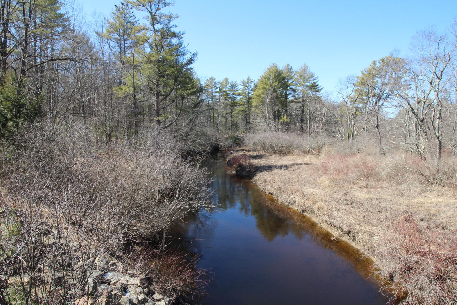 Property Photo: Lot 6 Fox Hollow Trail ME 03908