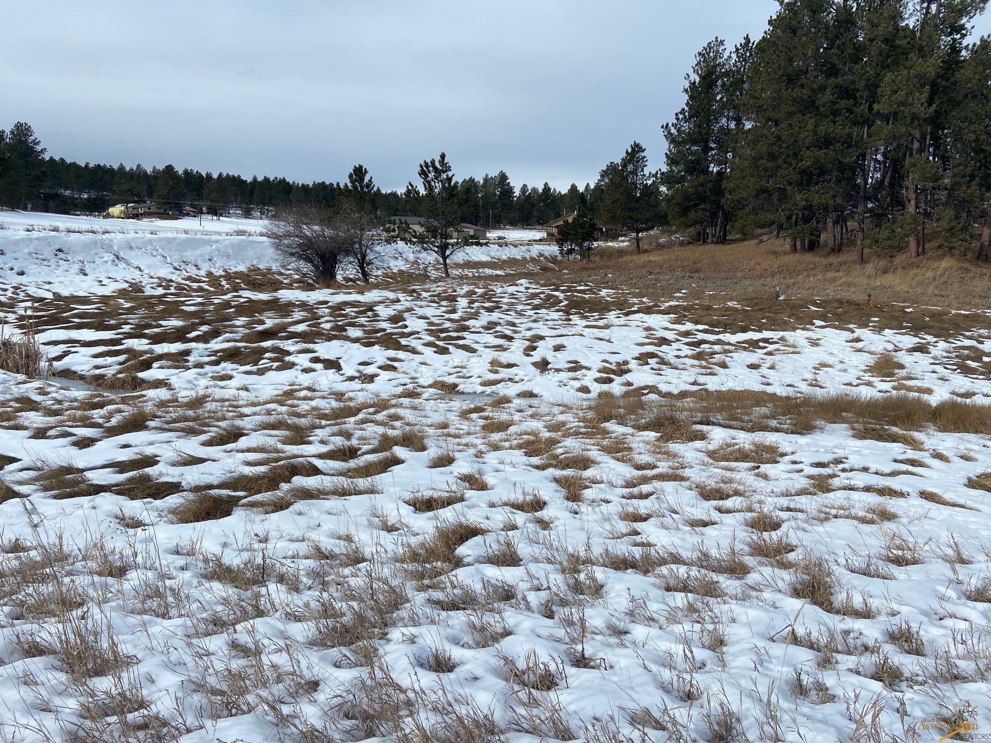 Property Photo:  Tbd Hwy 385 South Of 25555 US Highway 385  SD 57730 