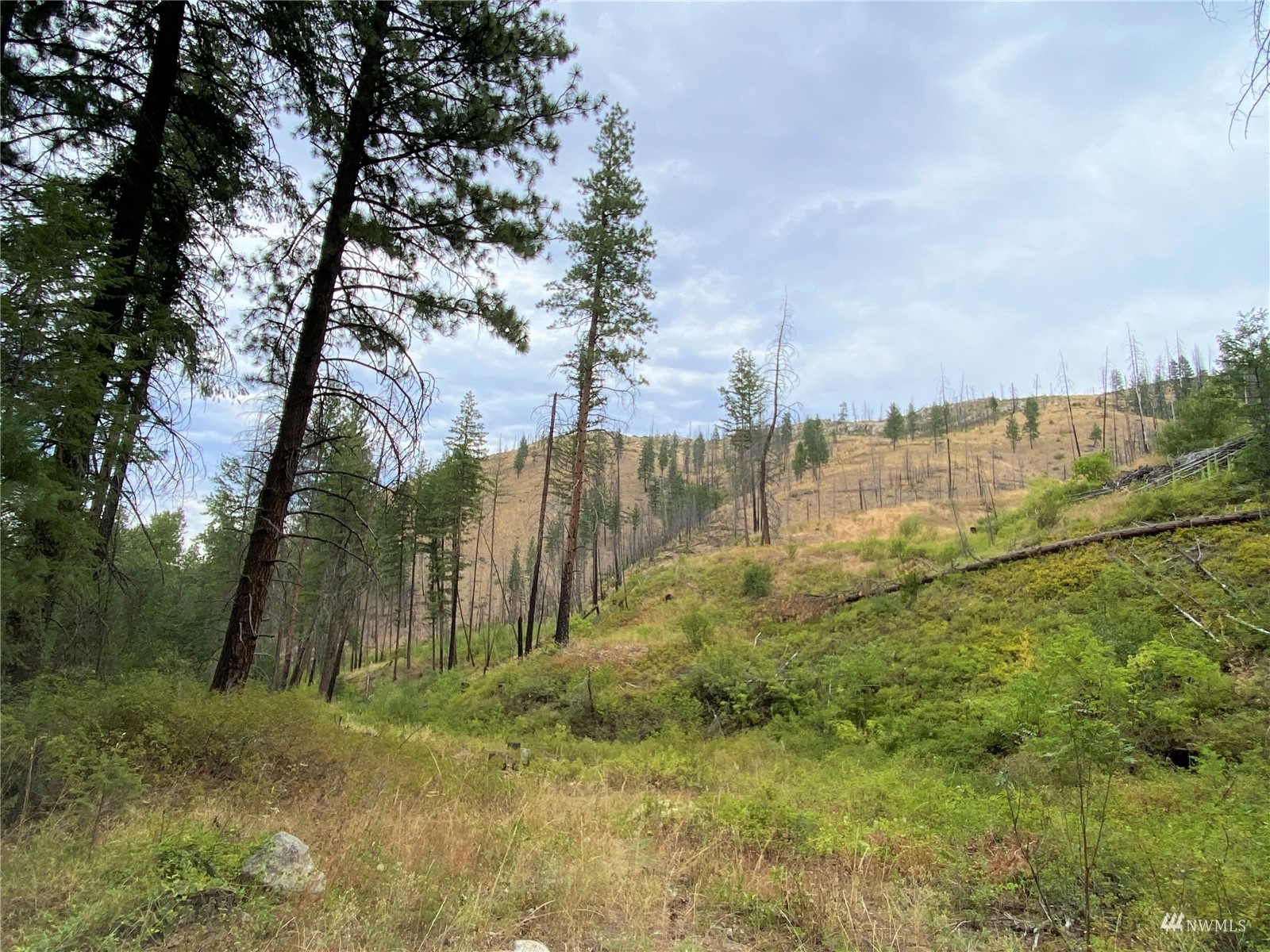 Property Photo:  7 Gold Creek Ranch Road  WA 98814 