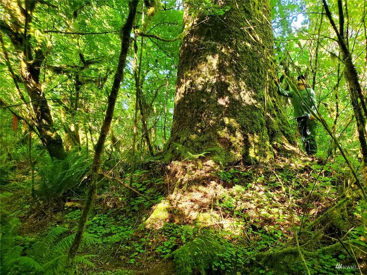 Property Photo:  9999 Lots 7&Amp8 Flemarski Road  WA 98331 