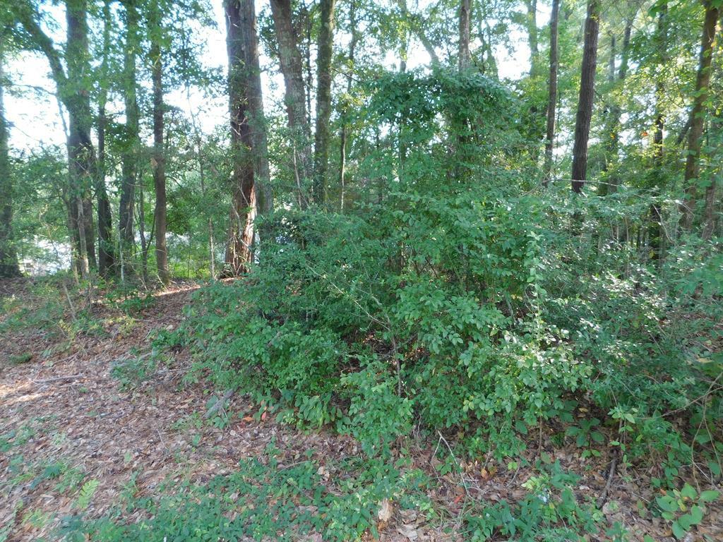 Property Photo:  0 Briar Cliff Rd Lot 5 Bk E  AL 36360 