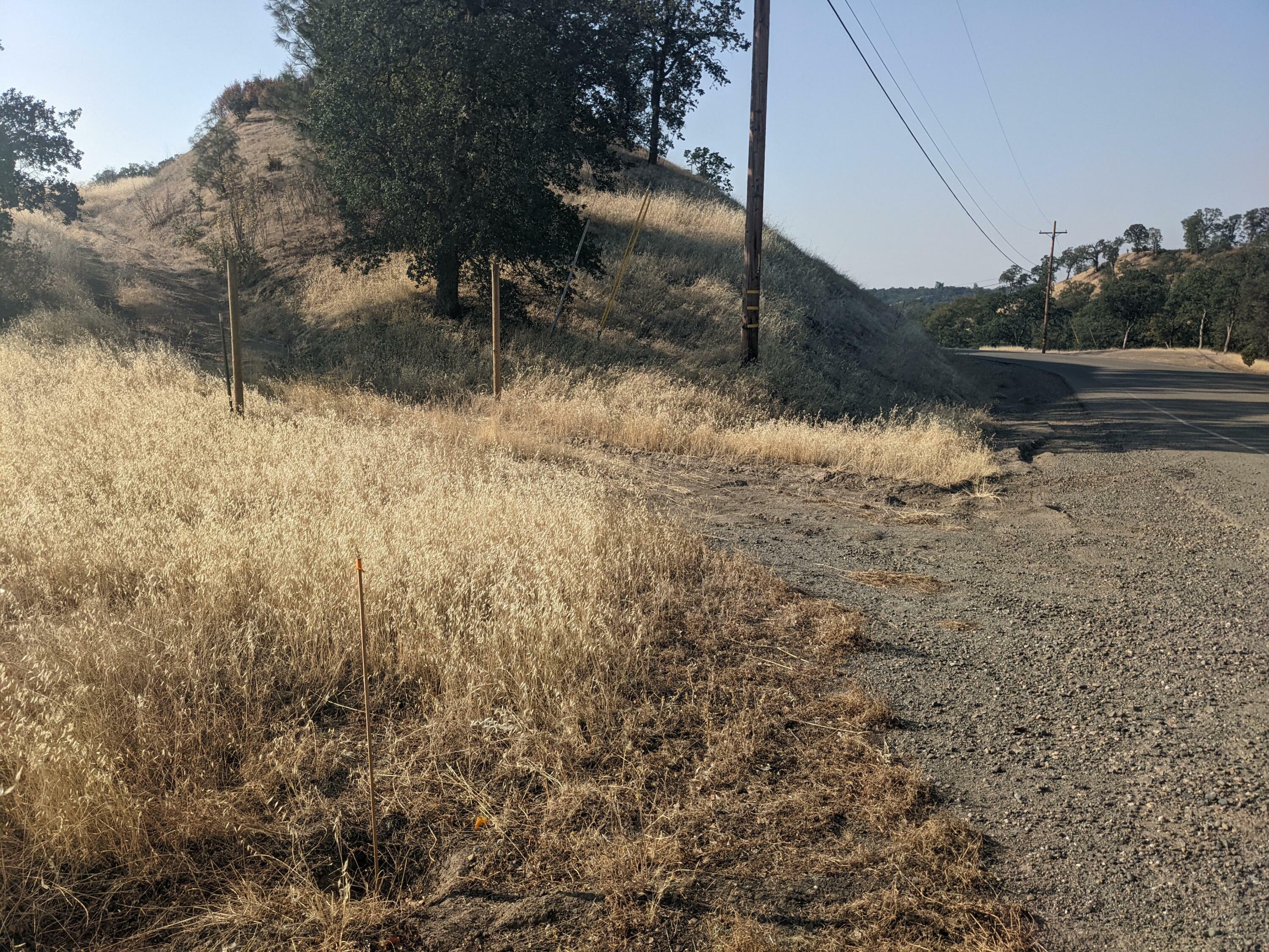 Property Photo:  Lot 13 Happy Valley Trail  CA 96022 