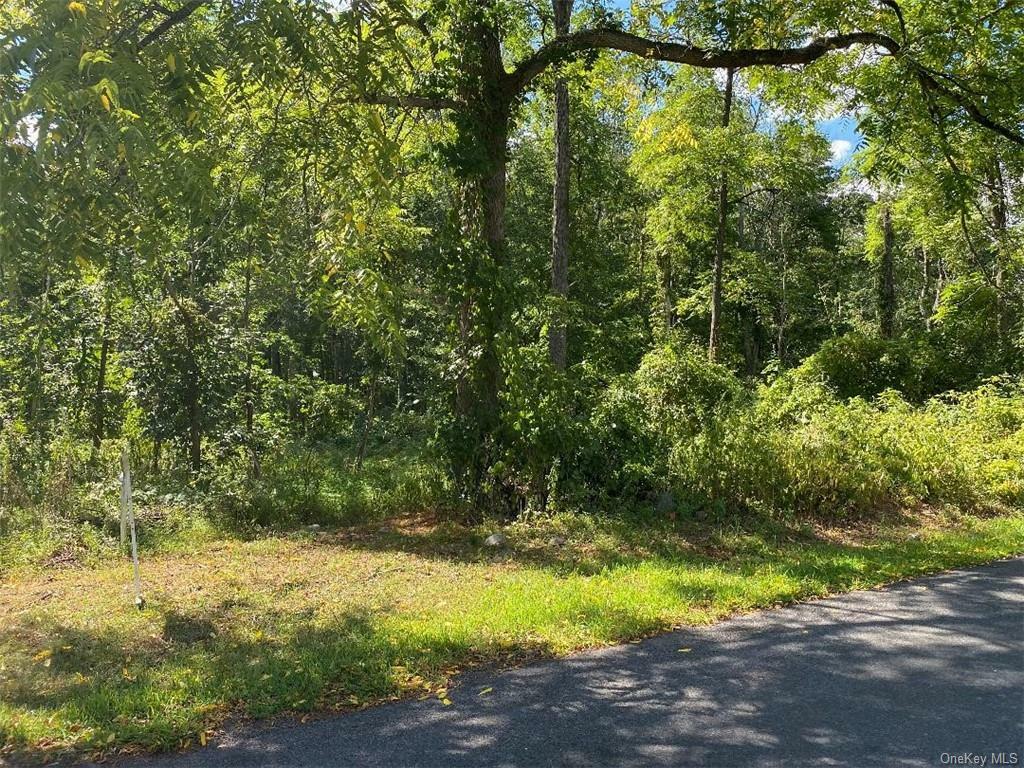 Property Photo:  Tbd N Elting Corners Road  NY 12528 