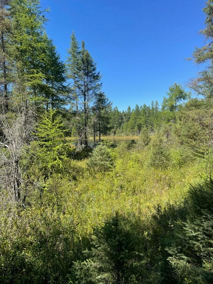 Property Photo:  Easement Bearskull Rd  WI 54552 