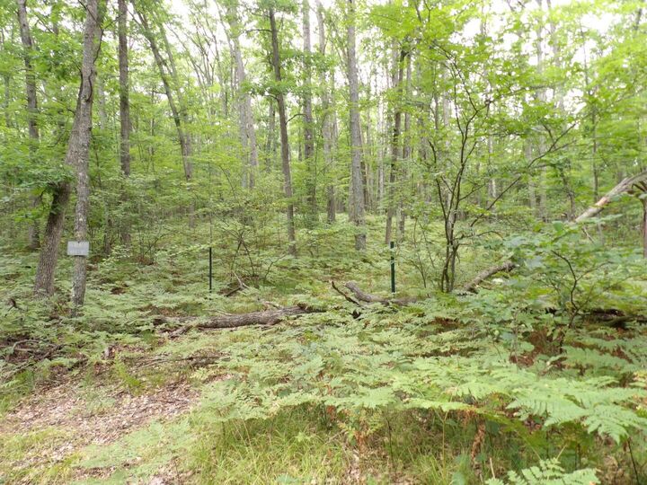 Dowler Drive 10.16 Acres  Prudenville MI 48651 photo