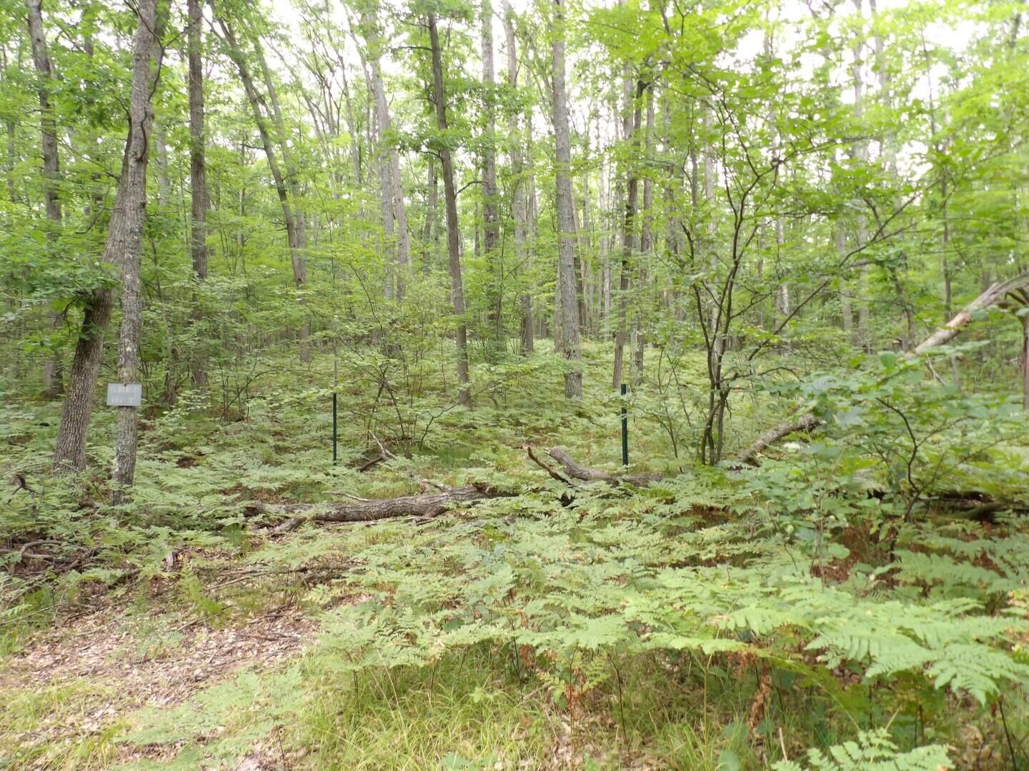 Property Photo: Dowler Drive 10.16 Acres MI 48651