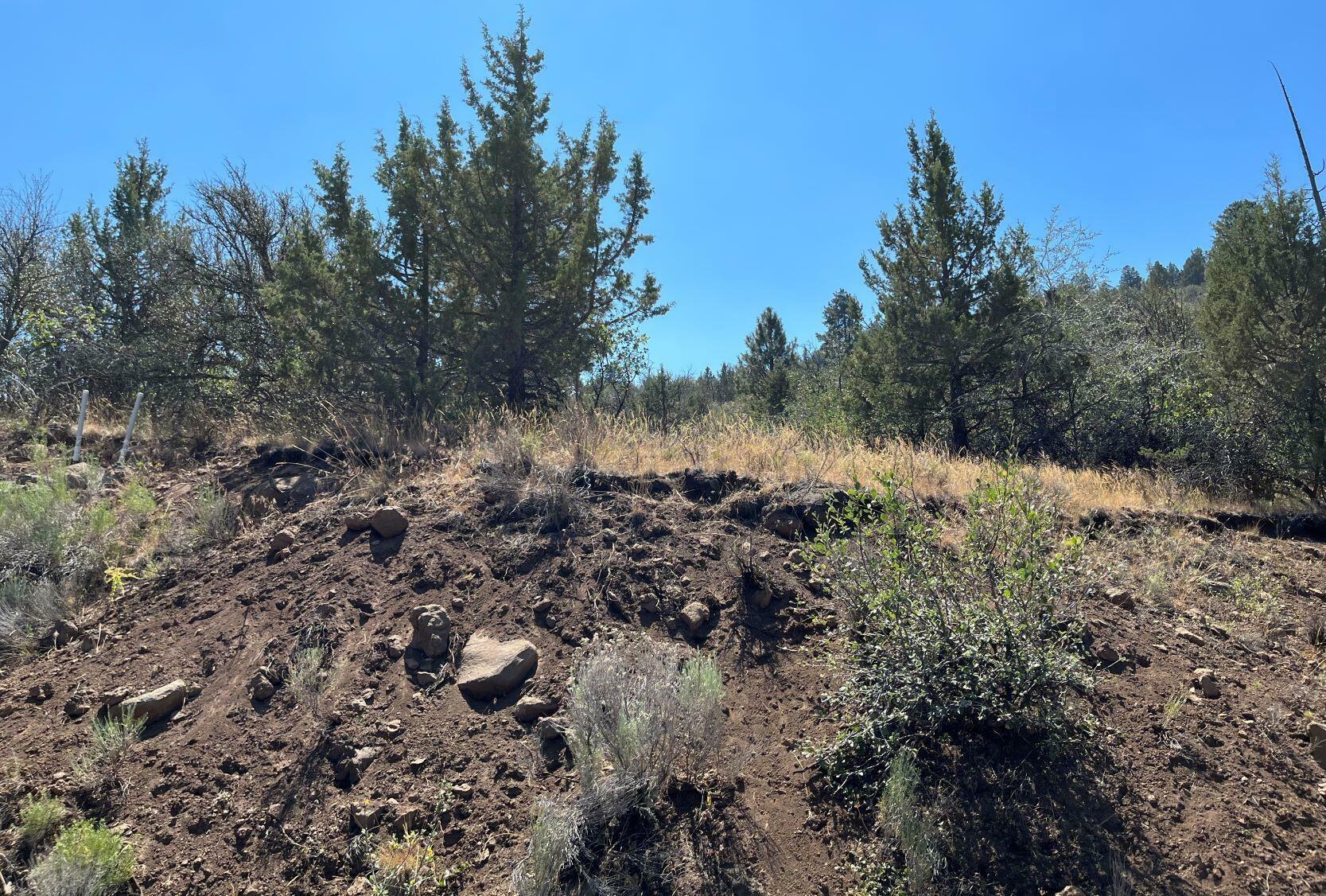 Property Photo:  Lot 52 Peregrine Heights  OR 97601 