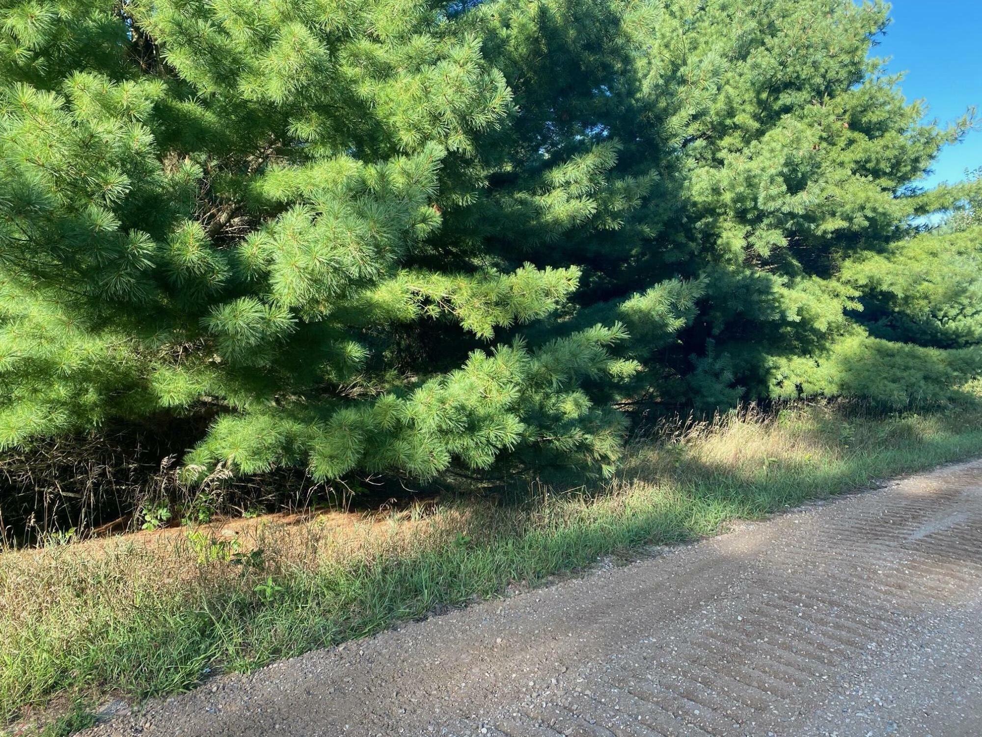 Property Photo: Allegheny Trail MI 49631