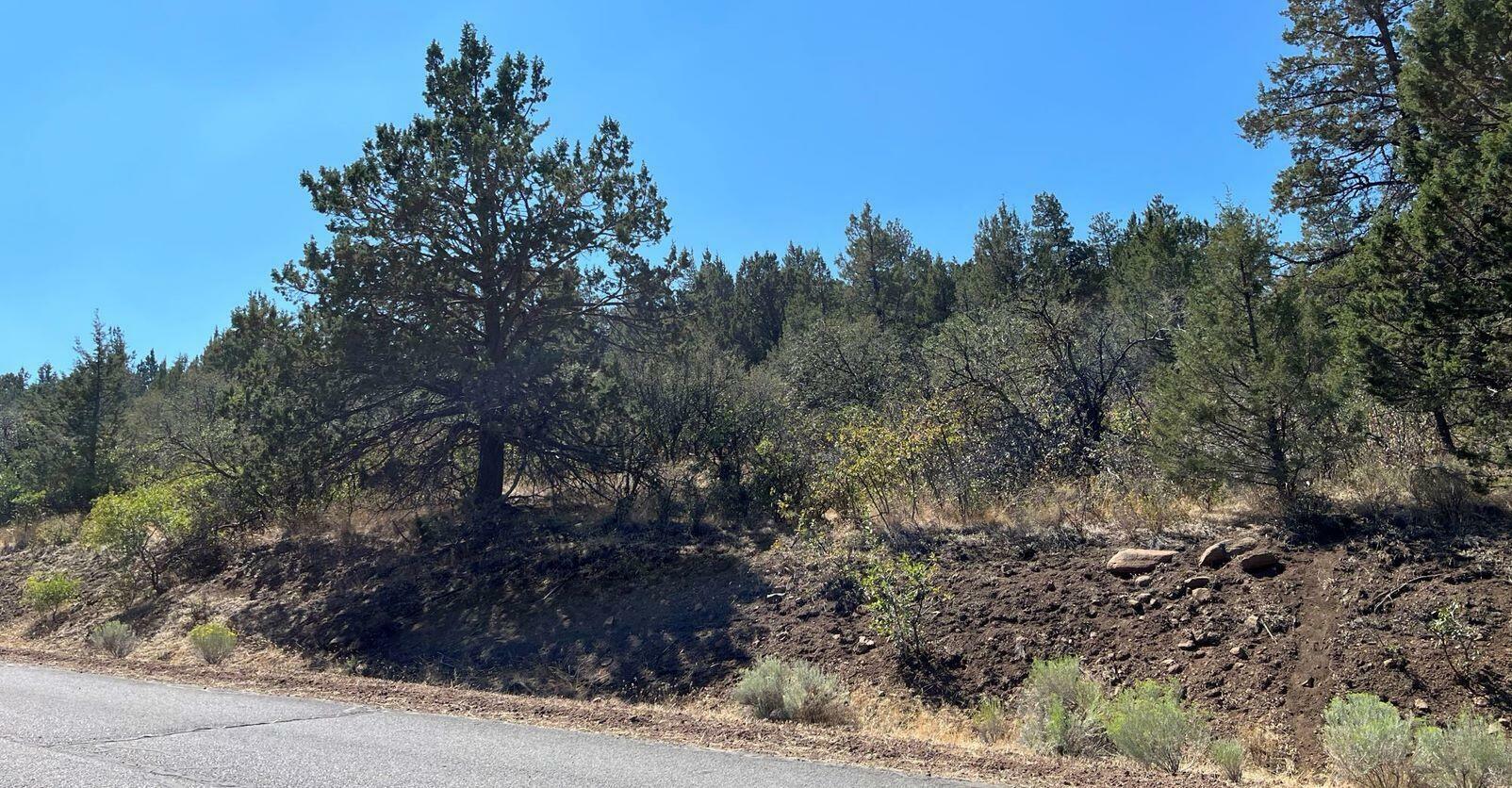 Property Photo:  Lot 56 Peregrine Heights  OR 97601 