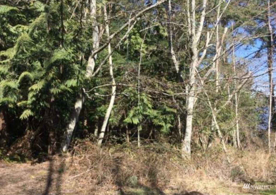 Property Photo: 0 Cove Road WA 98262