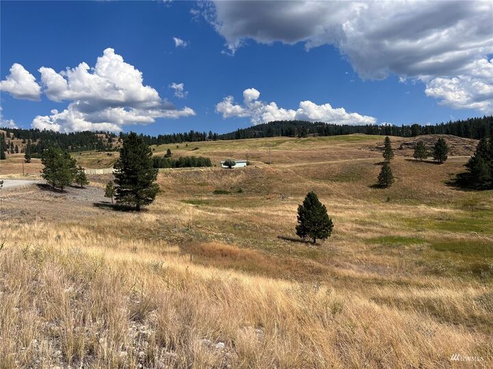 Property Photo:  0 Lot 27 Curlew Drive  WA 99166 