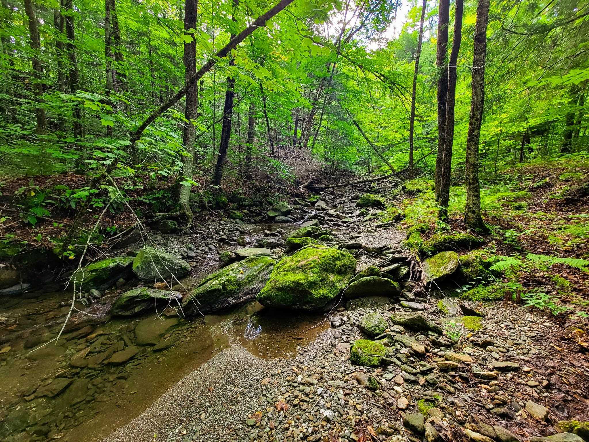 Property Photo: 3005 Ireland Road VT 05487