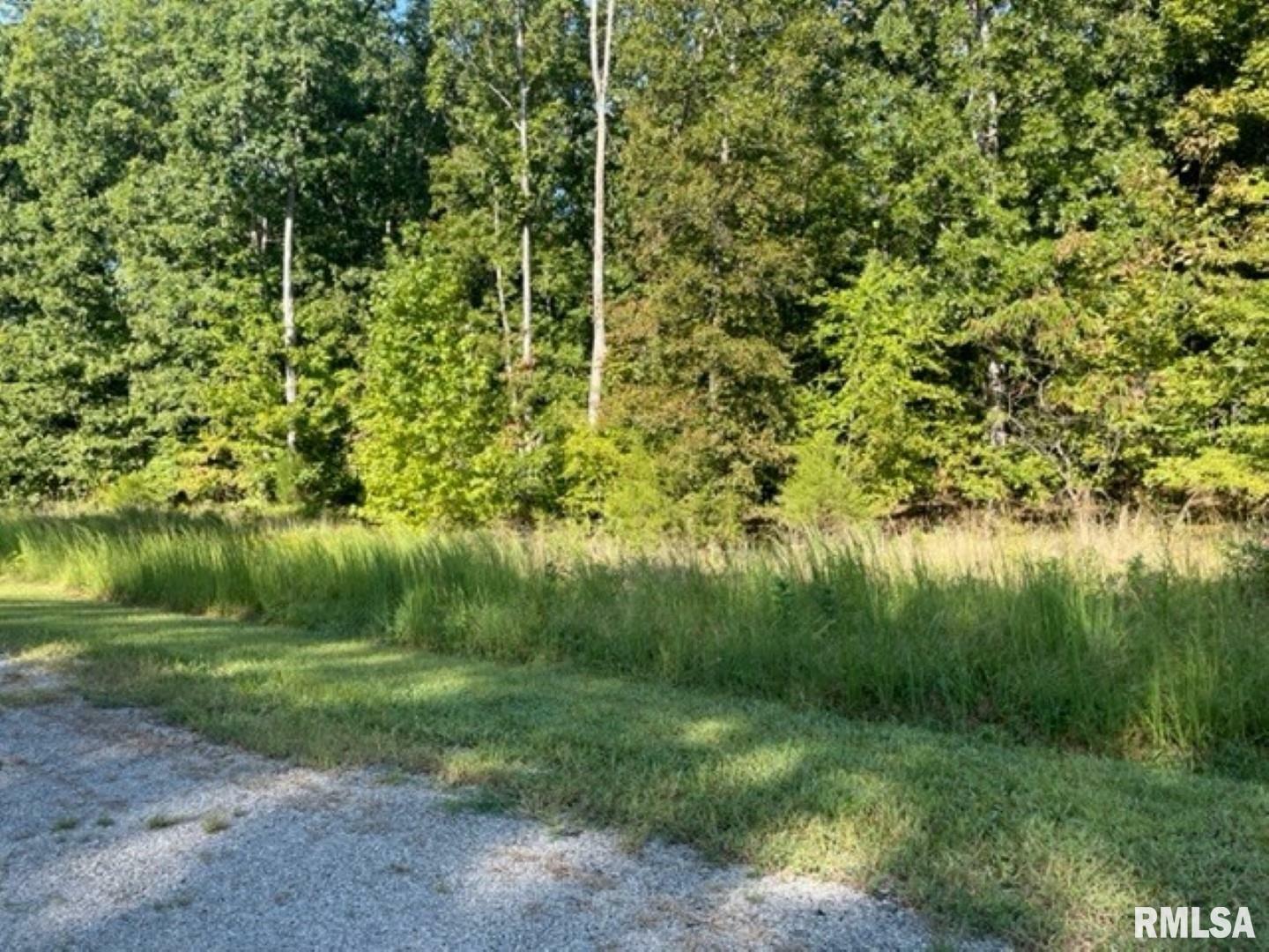 Property Photo: Lot 48 &Amp 49 Chariot Court IL 62939