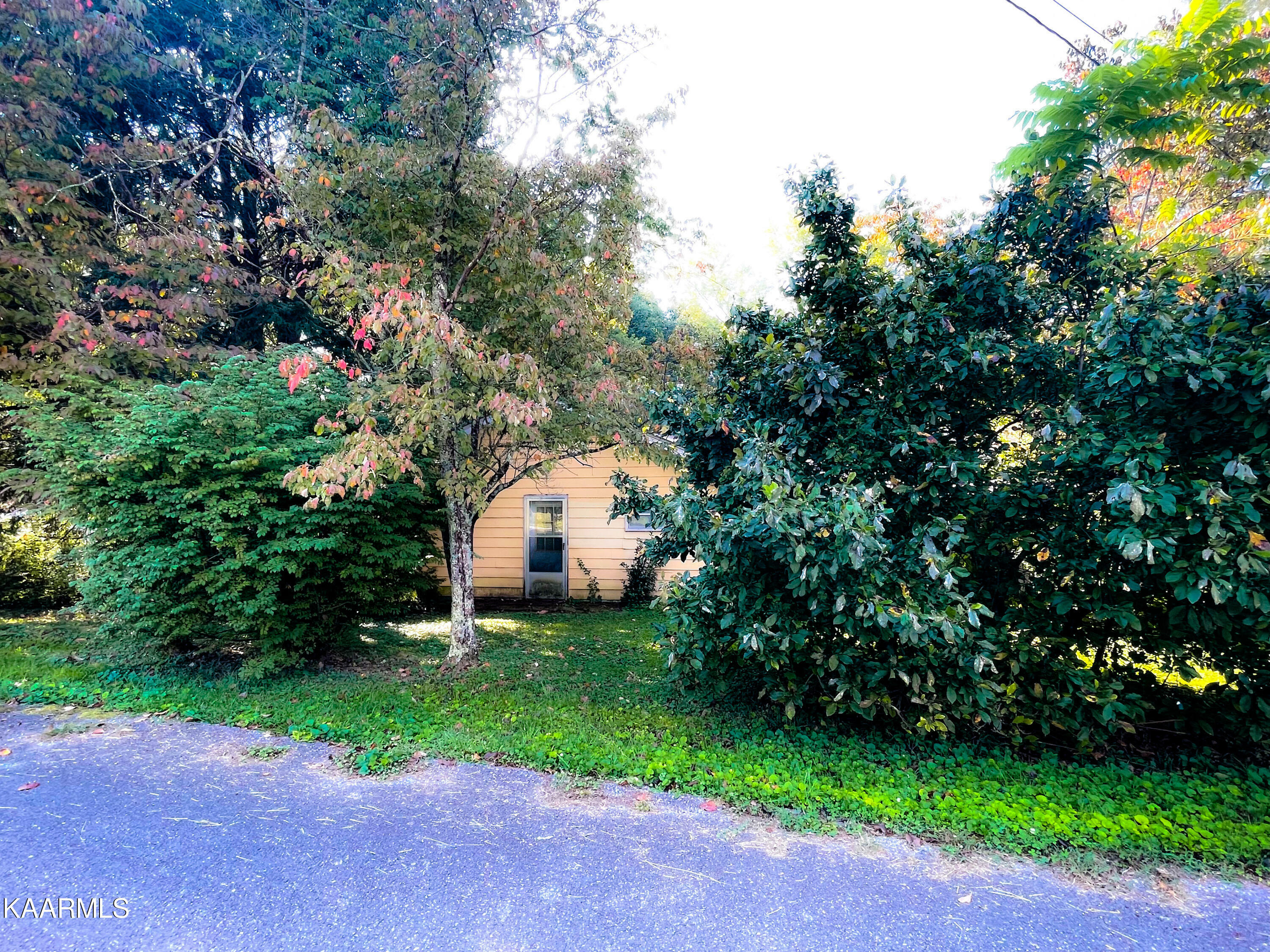 Property Photo:  10705 Dogwood Rd  TN 37931 