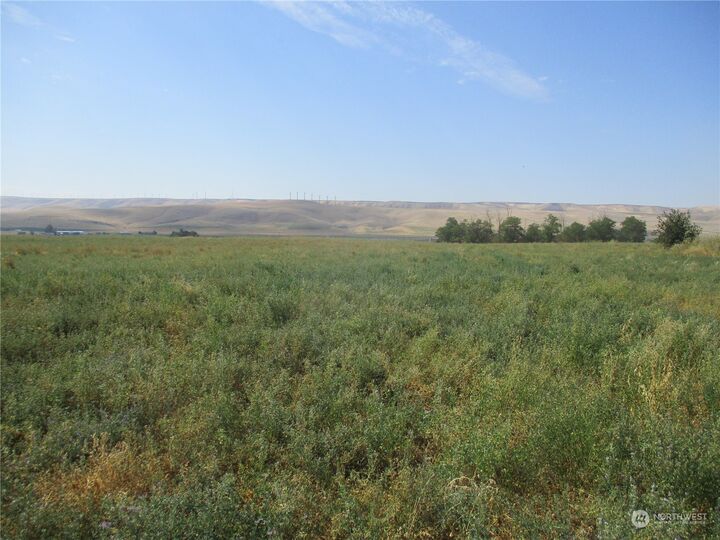 Property Photo:  0 Lot 53  Thurber Road  WA 99360 