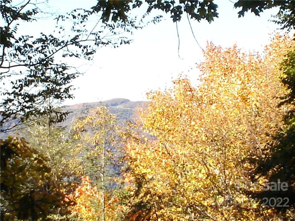 201 Chickadee Lane 201  Maggie Valley NC 28751 photo