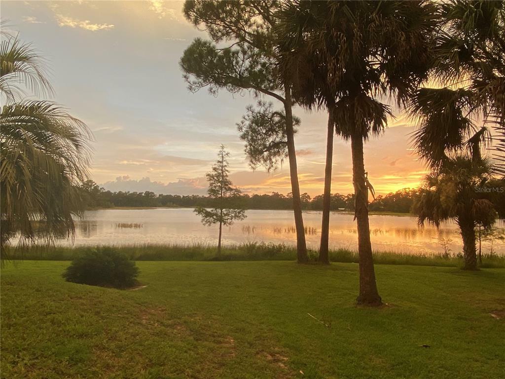 Property Photo:  2880 Regent Drive  FL 32738 