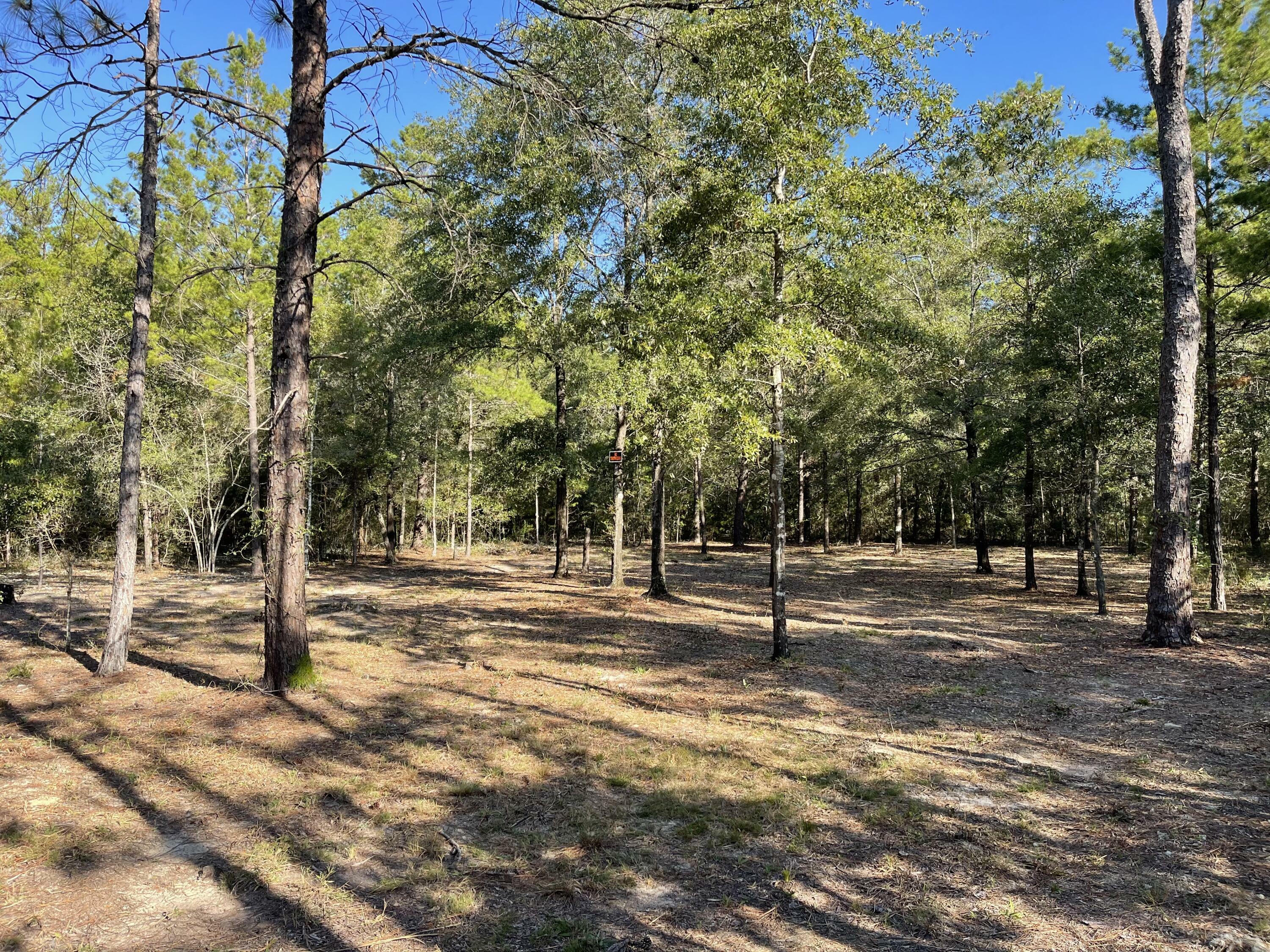 Property Photo:  Lot 31 E Box Elder Drive Blk 35 Oakwood Hills Ii  FL 32433 