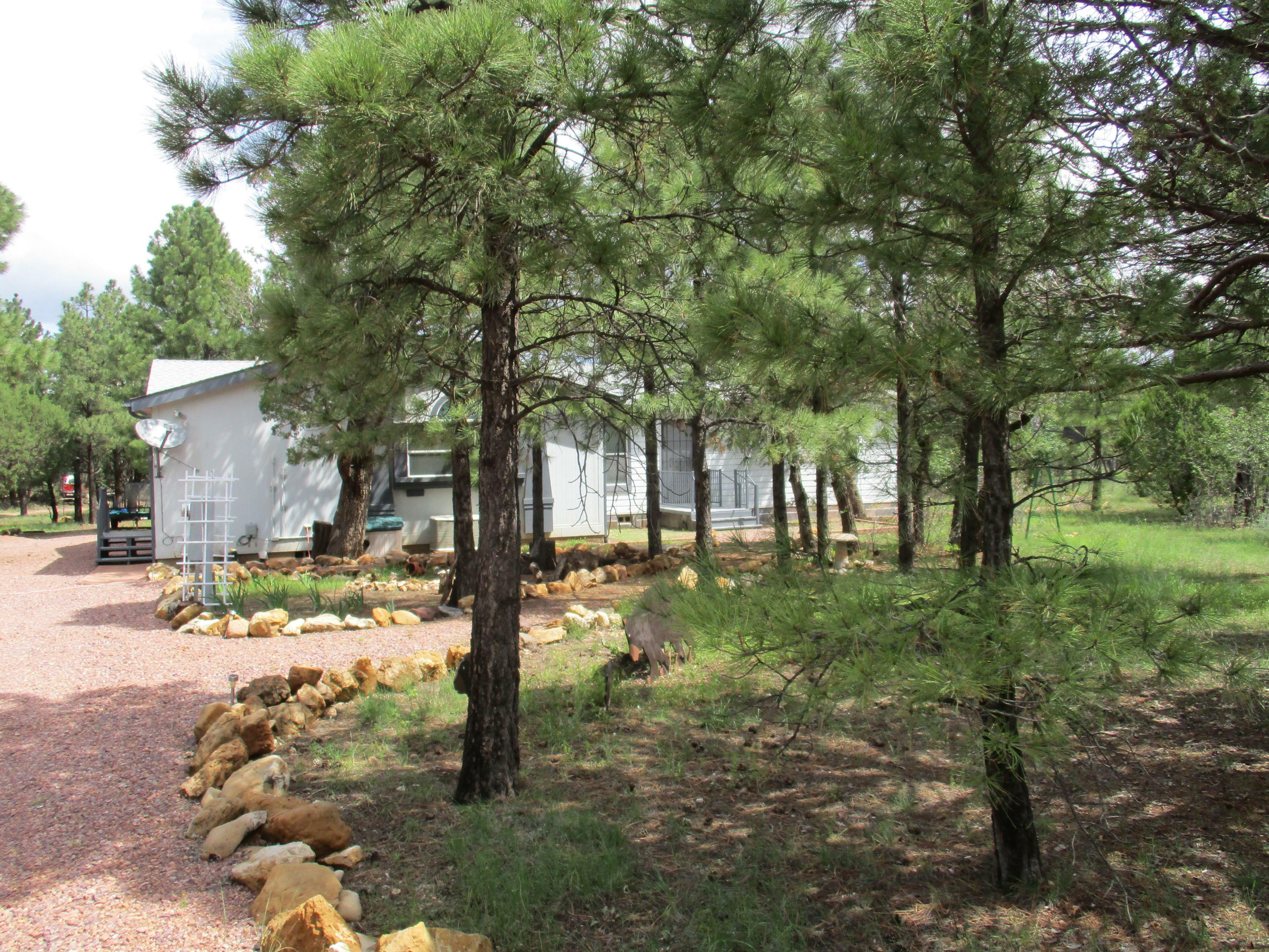 5715 Pine Knot Drive  Happy Jack AZ 86024 photo