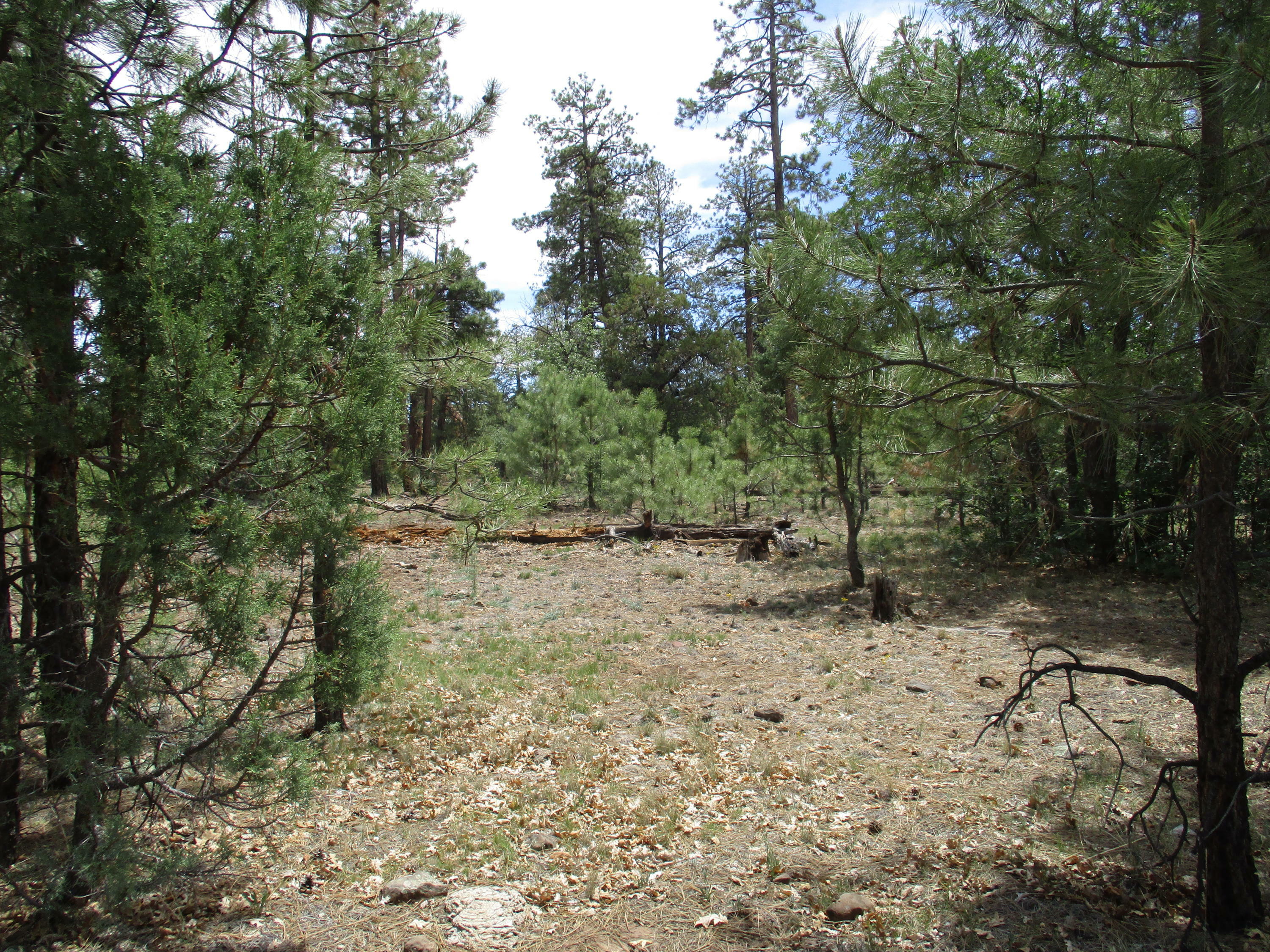 Property Photo:  1 Lot  AZ 86024 