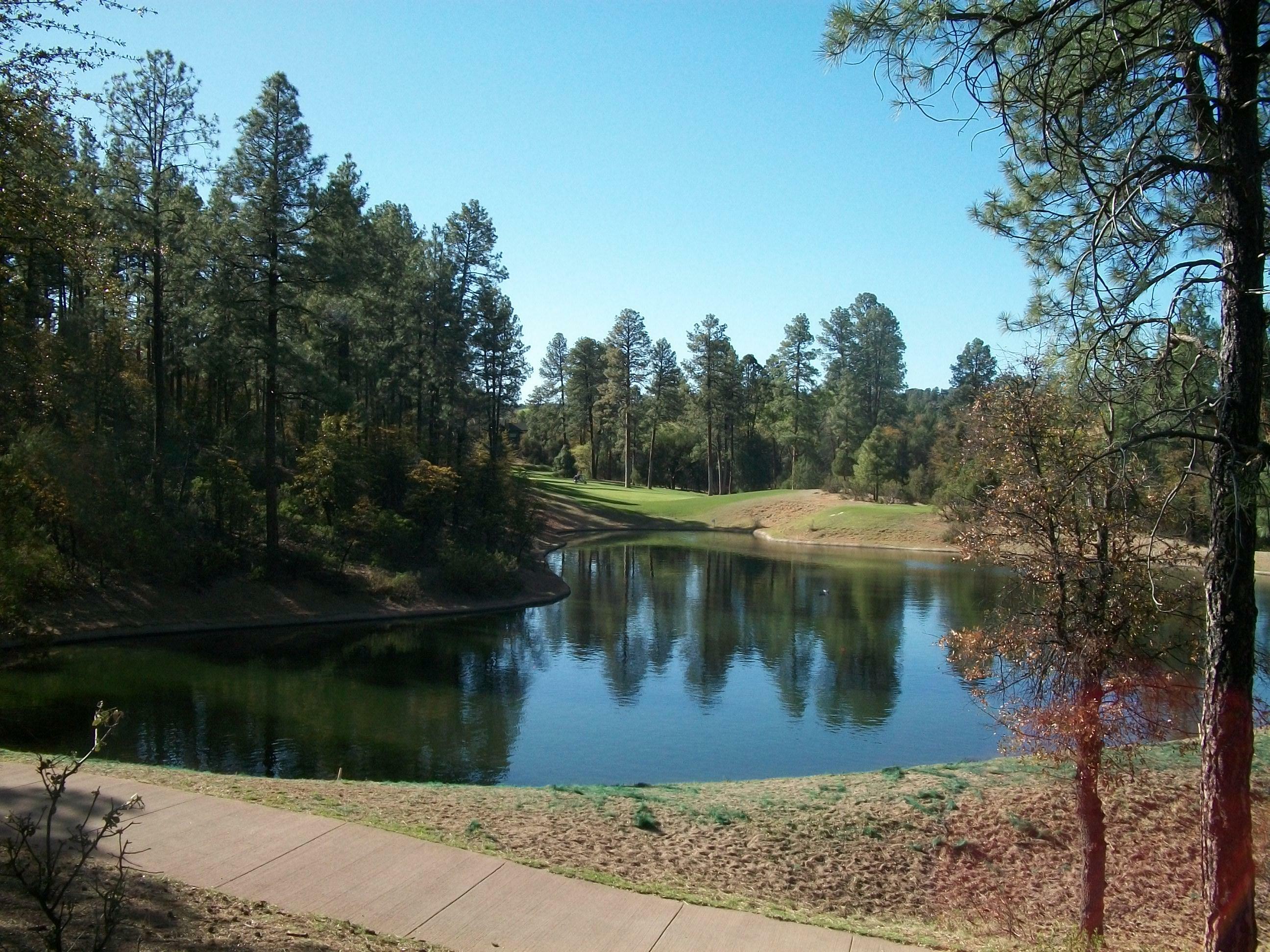 404 Evening Primrose Circle  Payson AZ 85541 photo