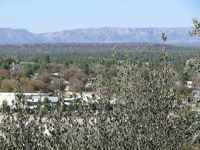 Property Photo:  116 E Ridge Lane  AZ 85541 