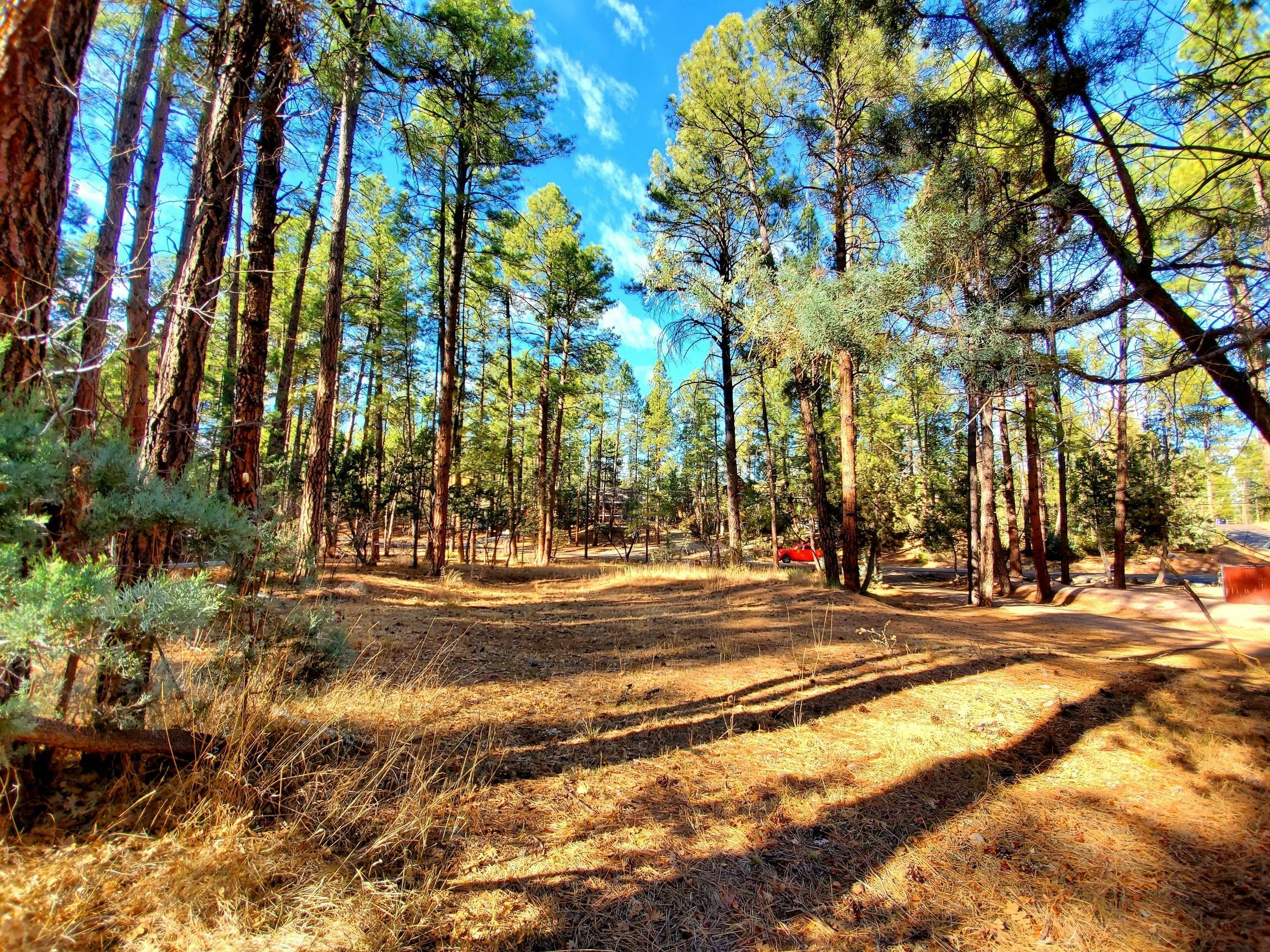 Property Photo:  6265 W Bradshaw Drive  AZ 85544 