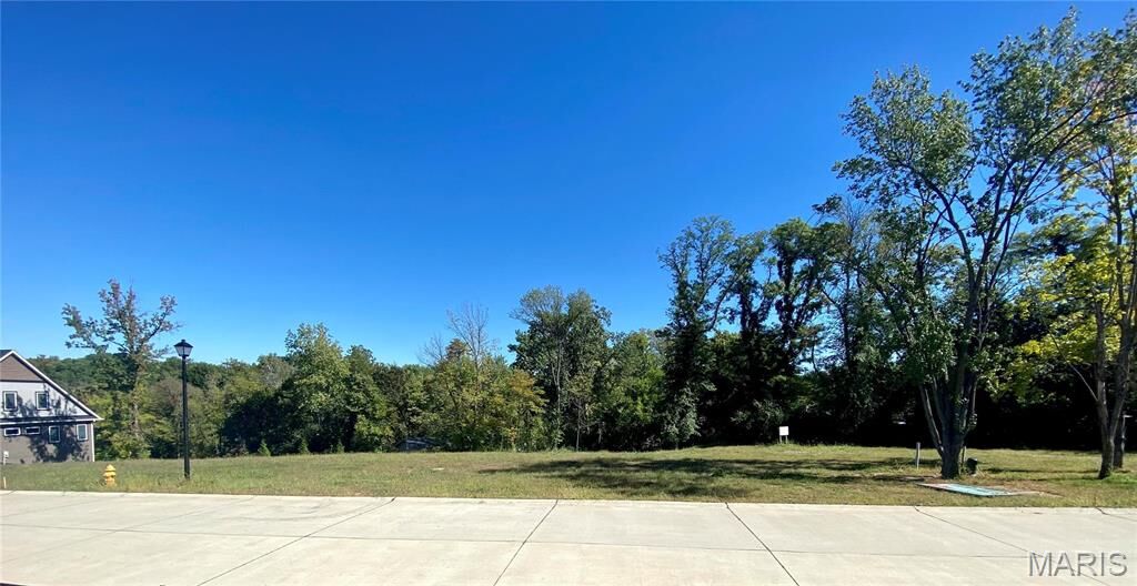 Property Photo:  2021 Lily Avenue  MO 63122 