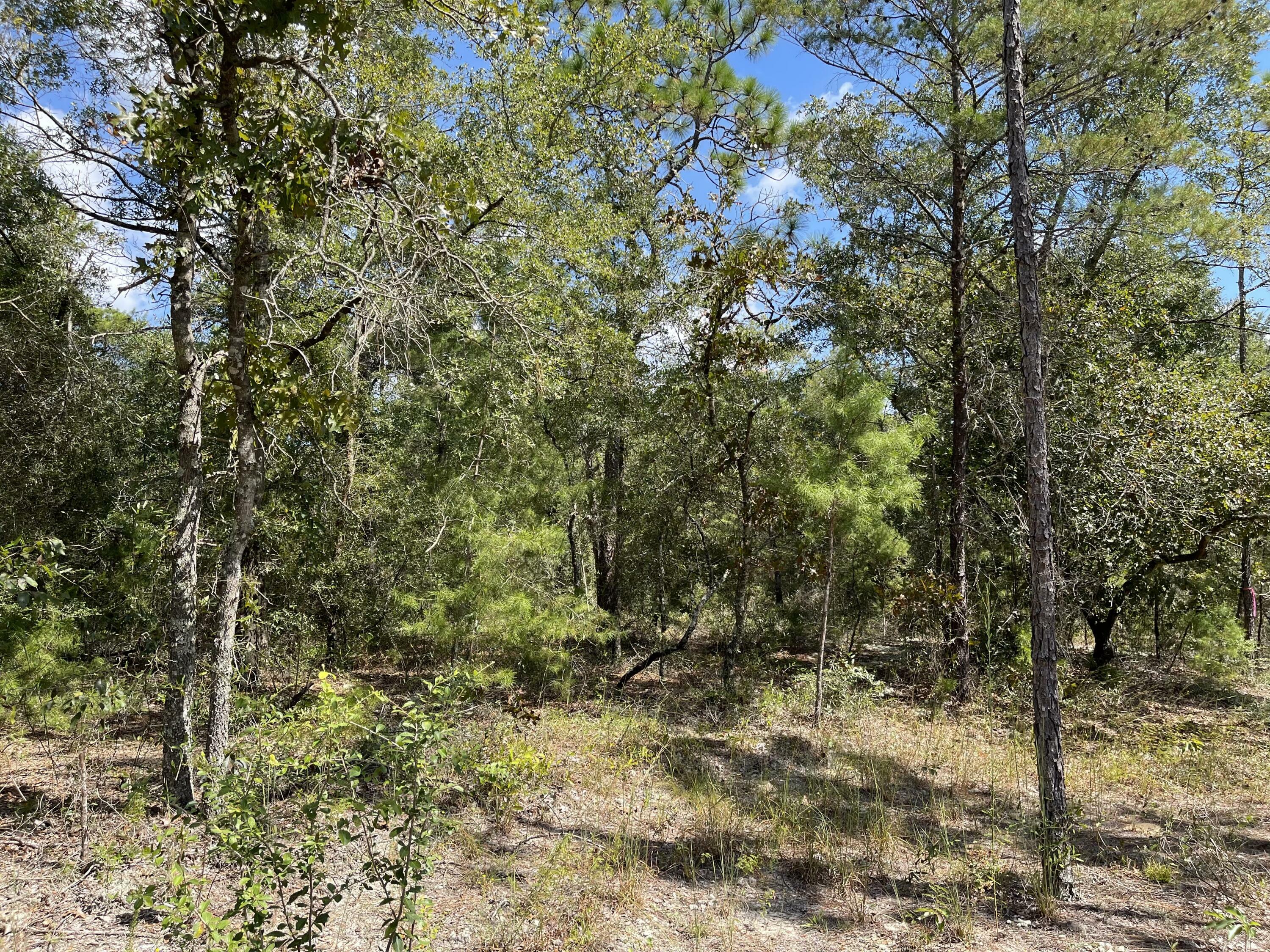 Property Photo:  Lot 13 E Big Cypress Drive Oakwood Hills Ii Blk 39  FL 32433 