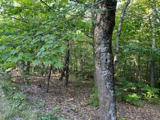 Property Photo:  Lot #44 Washington Junction Road  ME 04640 