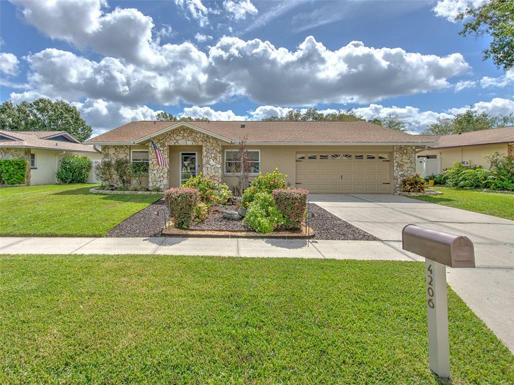 Property Photo:  4206 Hollowtrail Drive  FL 33624 