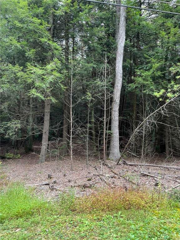 Property Photo: Rhododendron Trail A13 PA 18229