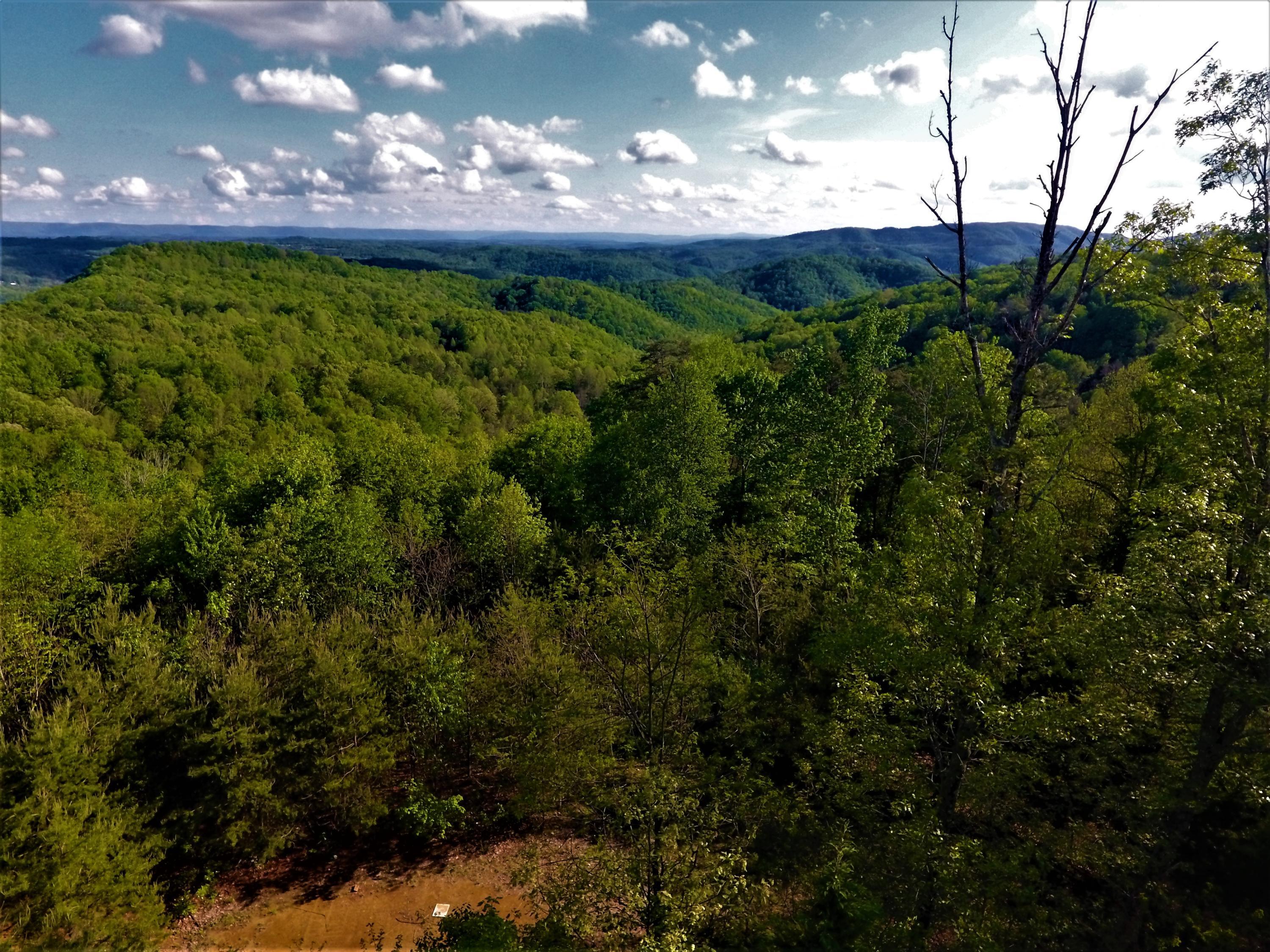 Property Photo:  144 Mountain Vista Drive  WV 25951 