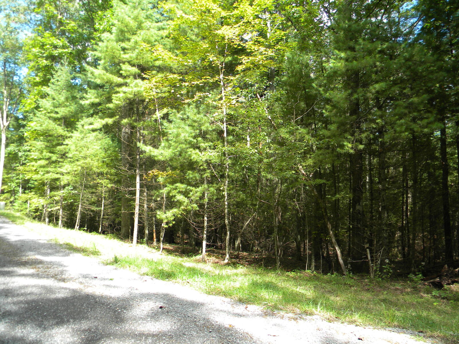 Property Photo:  Lot 19 Asbury Trace Sunset Ridge Subdivision  WV 24901 