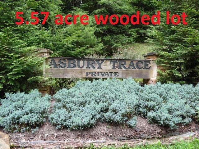 Property Photo: Lot 3 Asbury Trace WV 24901