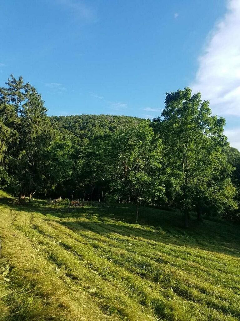 Property Photo:  Knobbs Road  WV 24983 