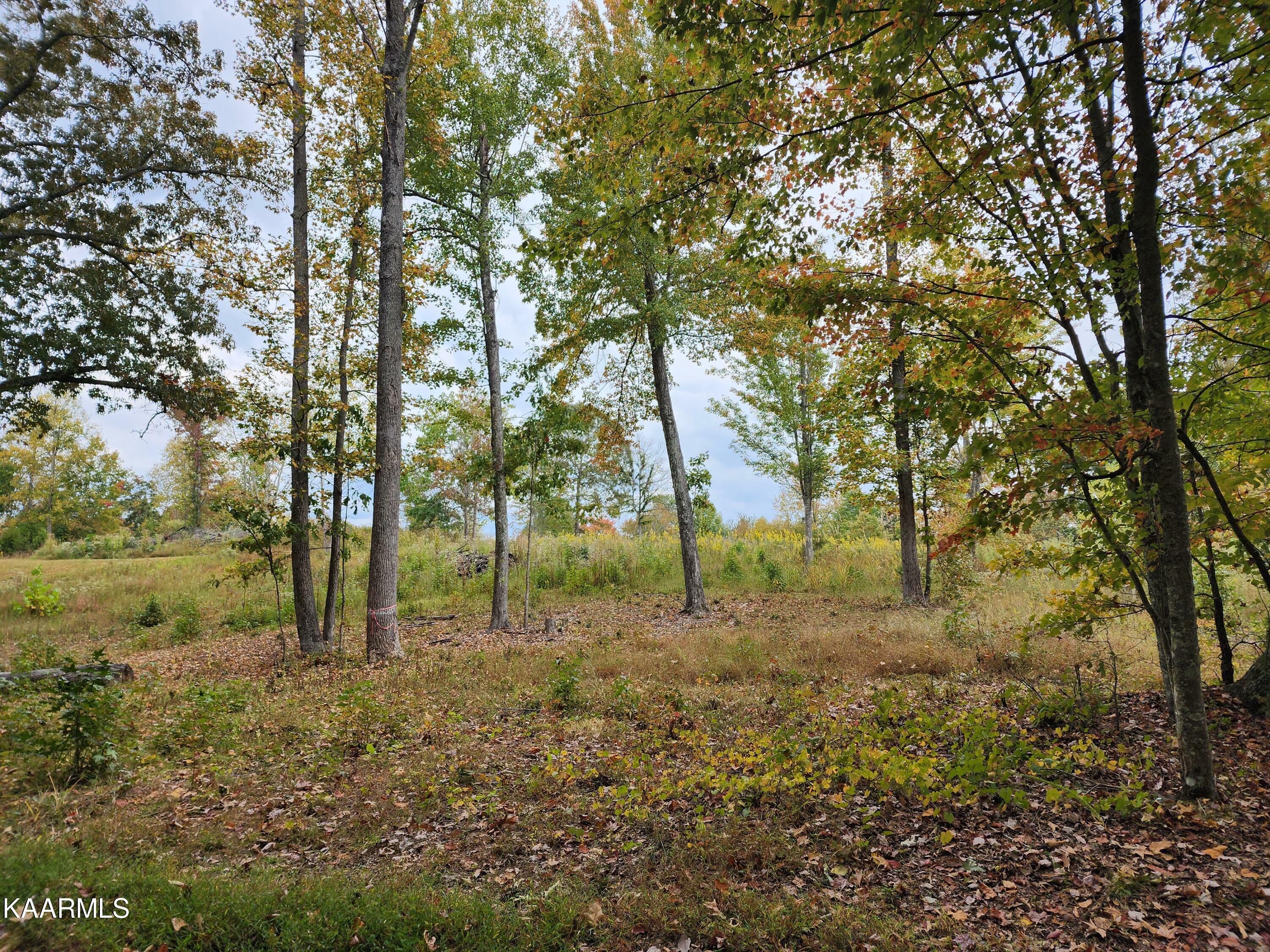 Property Photo:  Loch Haven  TN 37854 