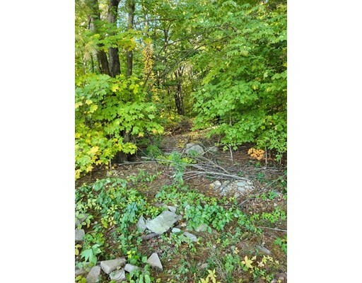 Property Photo: 0 Pierce Road, L 2 MA 01453
