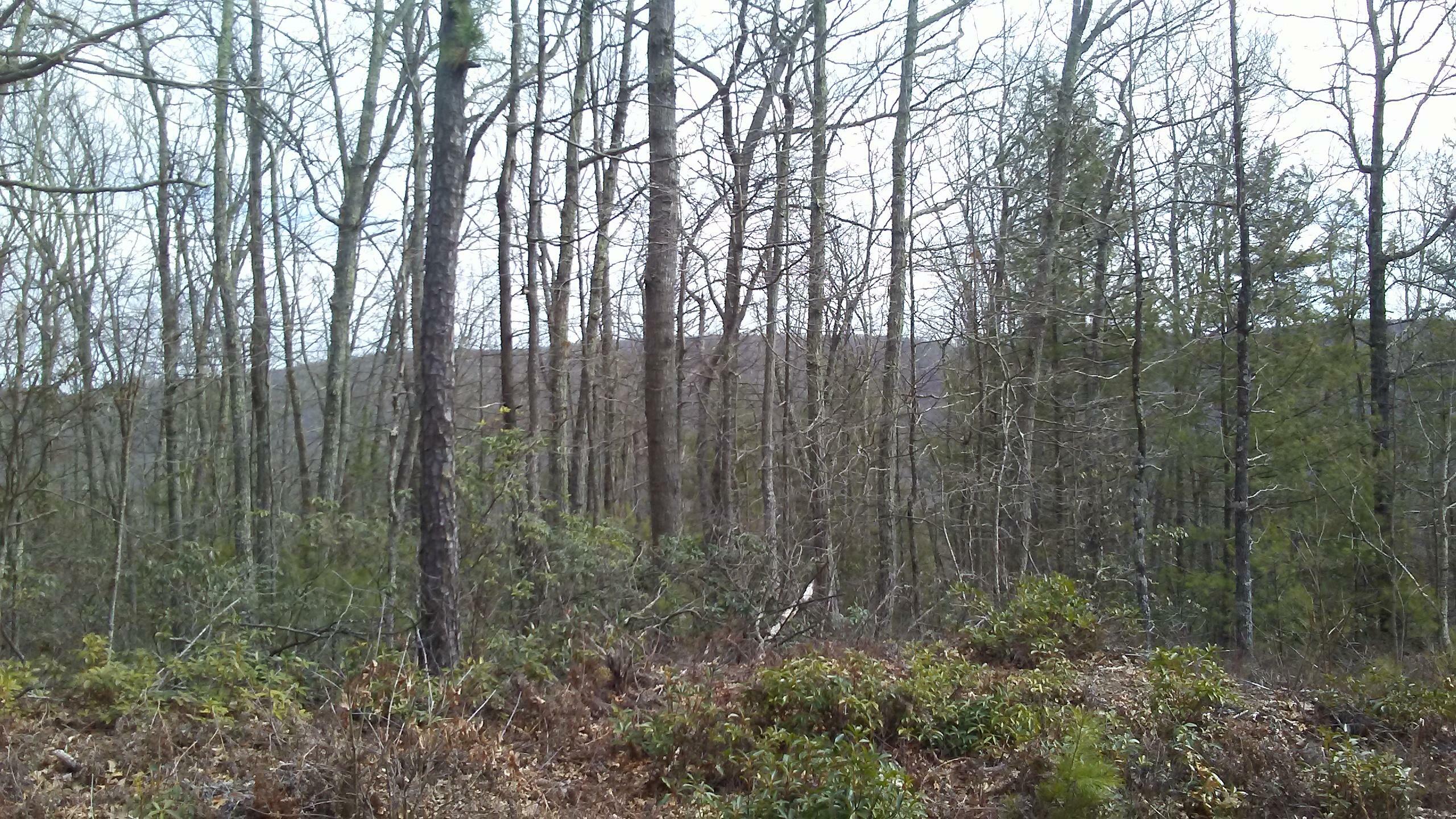 Property Photo:  Highland Rd  WV 24941 